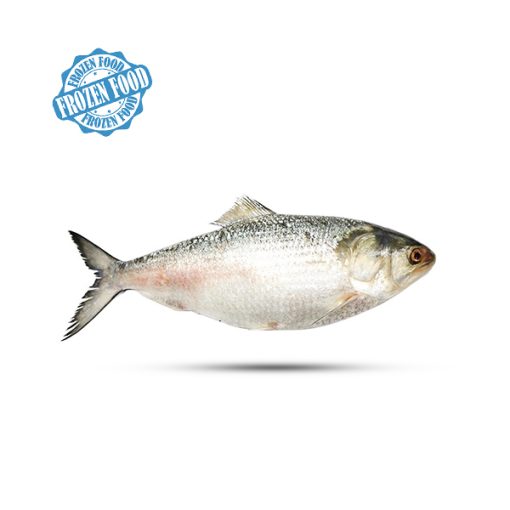 Hilsa Big 1200-1500g Deshi Mart - Online Asian Food and Groceries Store