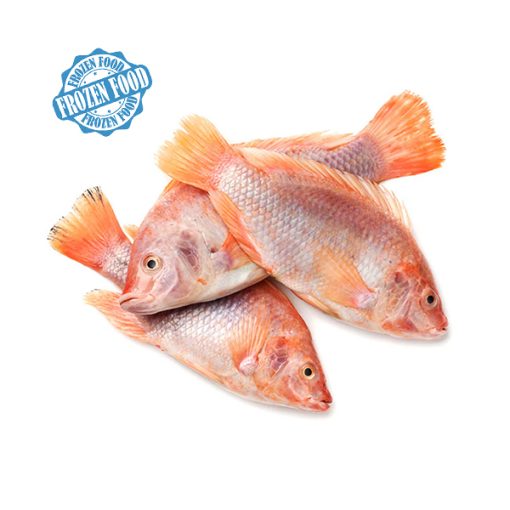 Healthy Blue Fish whole Red Tilapia G/S 500-700g Deshi Mart - Online Asian Food and Groceries Store